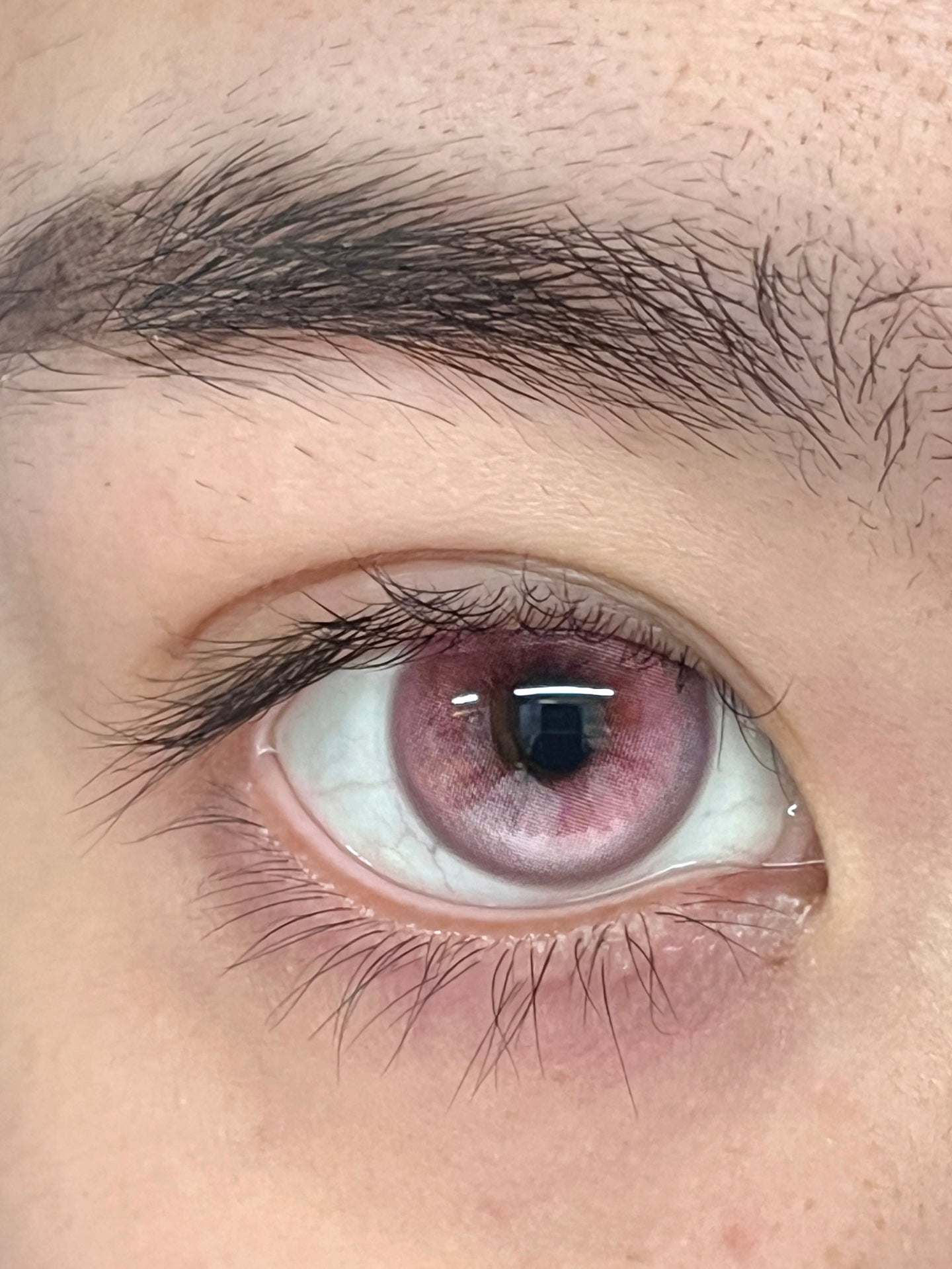 HALF-YEAR | ISORA | Rose Wing Red