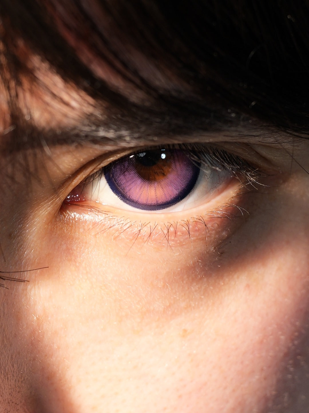 HALF-YEAR | LENSPOP | Coral Purple-Pink