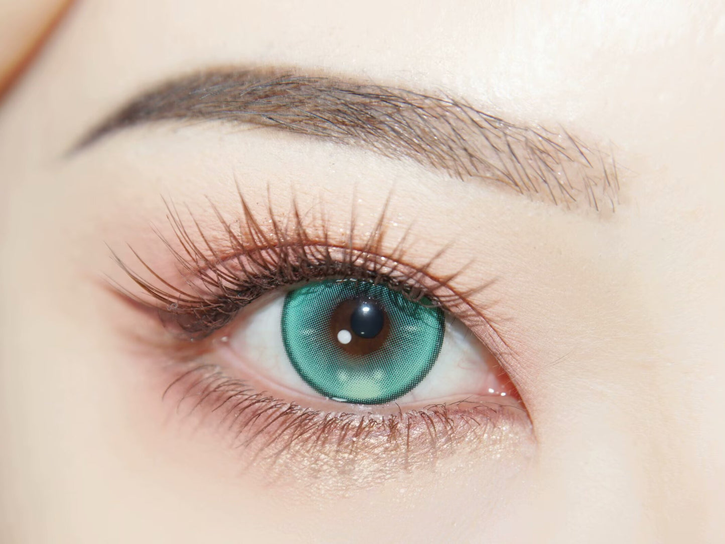 HALF-YEAR | APRI | Aurora Green