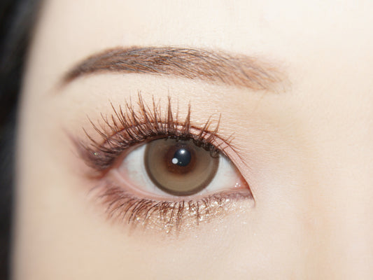 HALF-YEAR | LYMY | Ladyfinger & Tea Brown