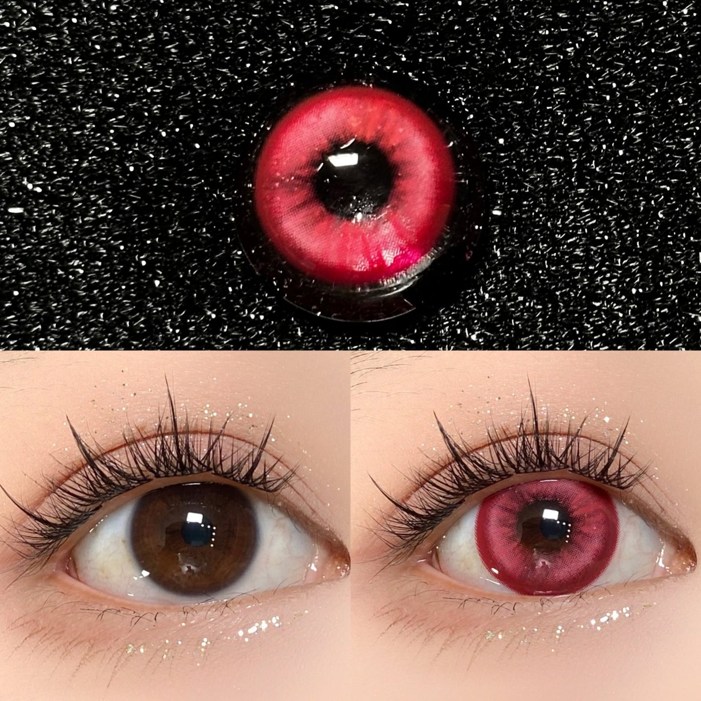 1-DAY | SHINING  | Genky  Rose Red