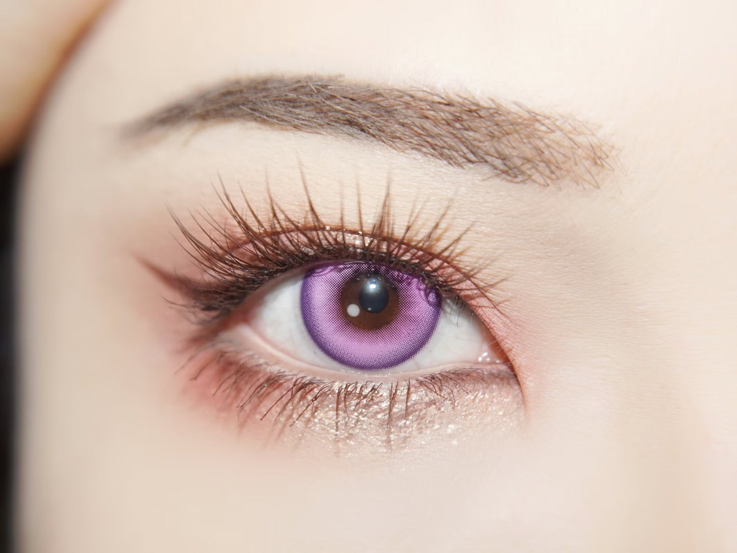 1-DAY | YUKI | Lavender Miracle Purple