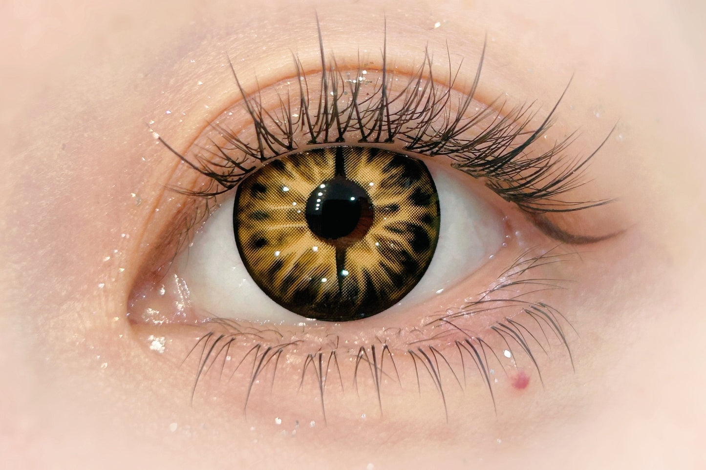 1-YEAR | CM | Golden Snake Eye