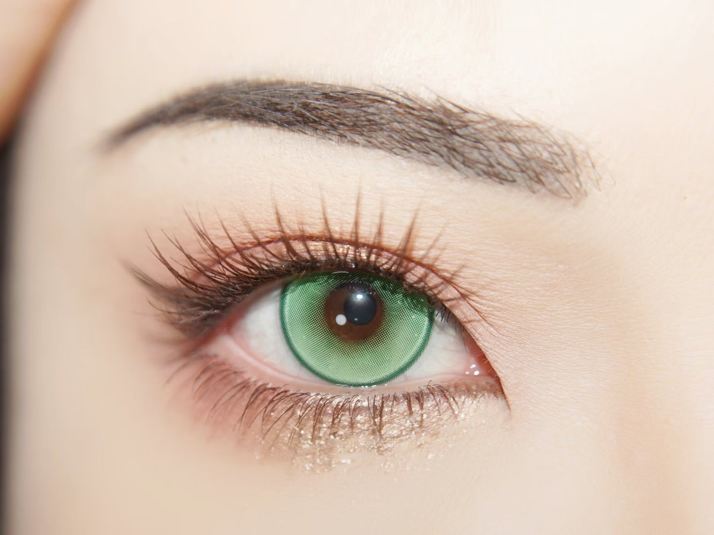 1-DAY | YUKI | Mossdream Green