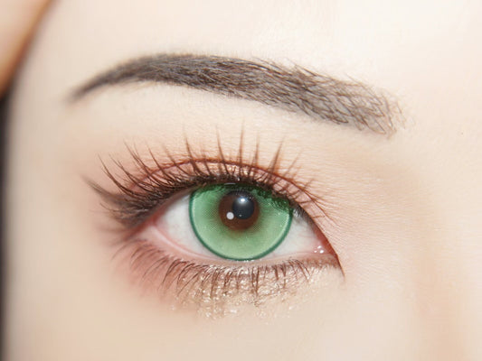 1-DAY | YUKI | Mossdream Green