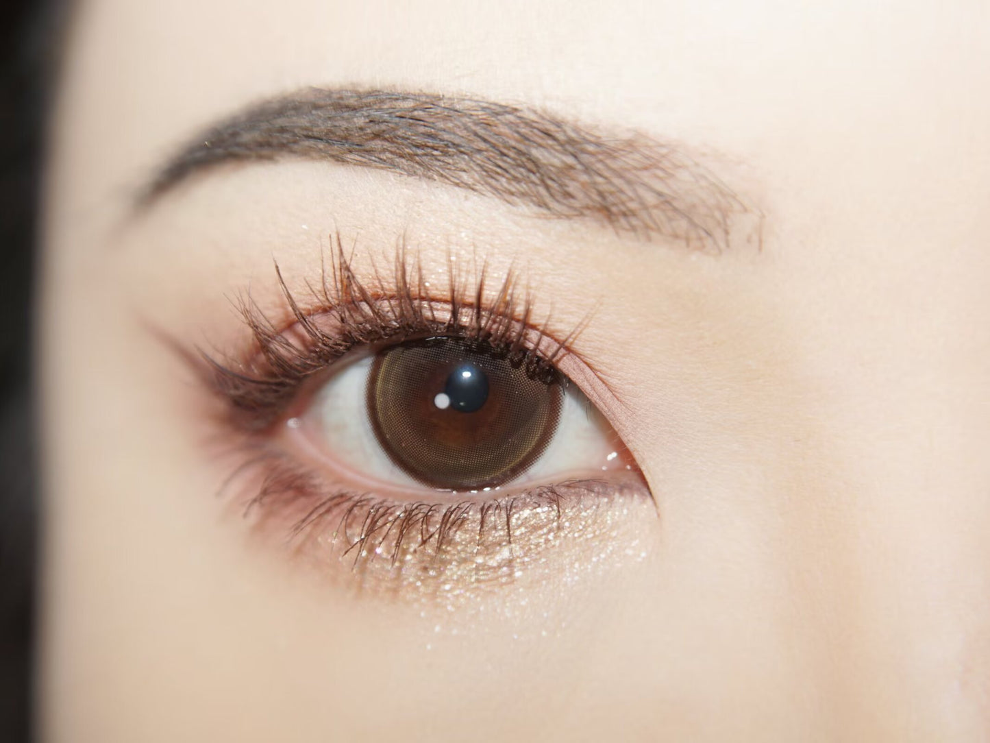 1-DAY | JELLY | Camellia Flower Brown