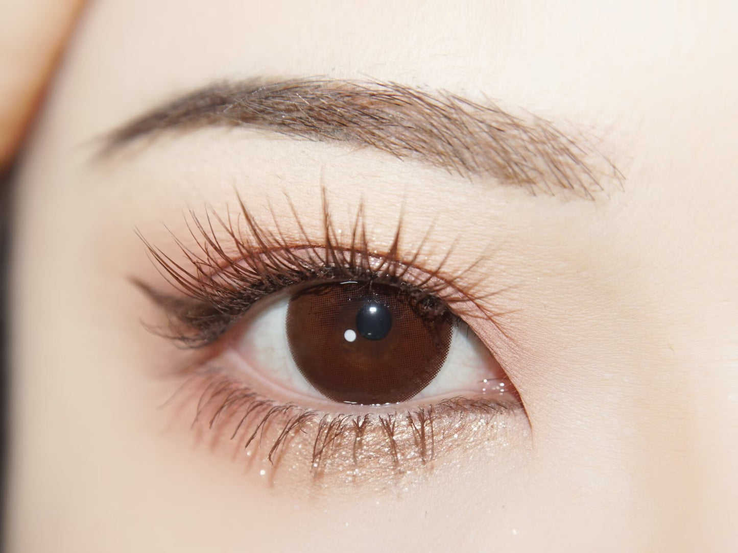 HALF-YEAR | FLOWER | Silken Pupil Brown