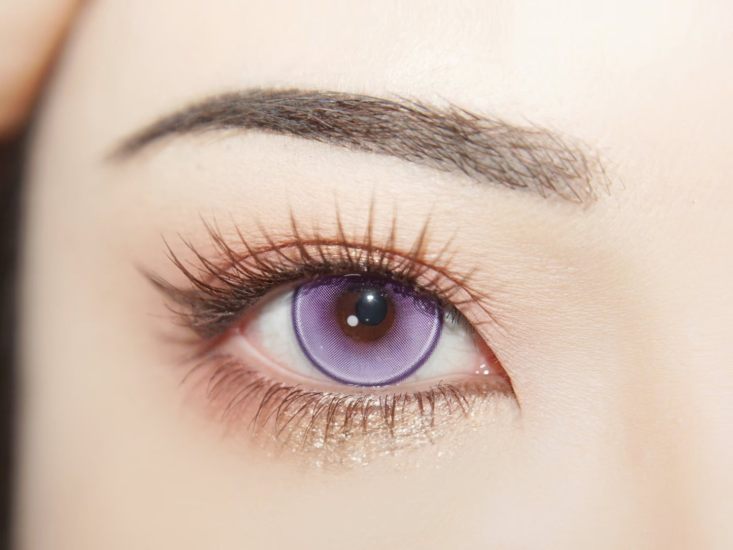 1-DAY | YUKI | Nebula Night Purple