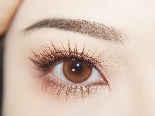 1-DAY | FLOWER | Cuddle Pop Brown