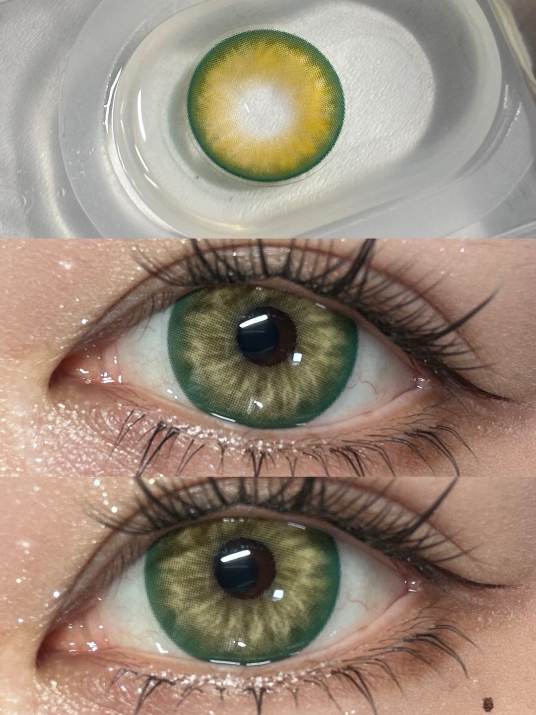 1-DAY | APRI | Magnetic Gold-Green