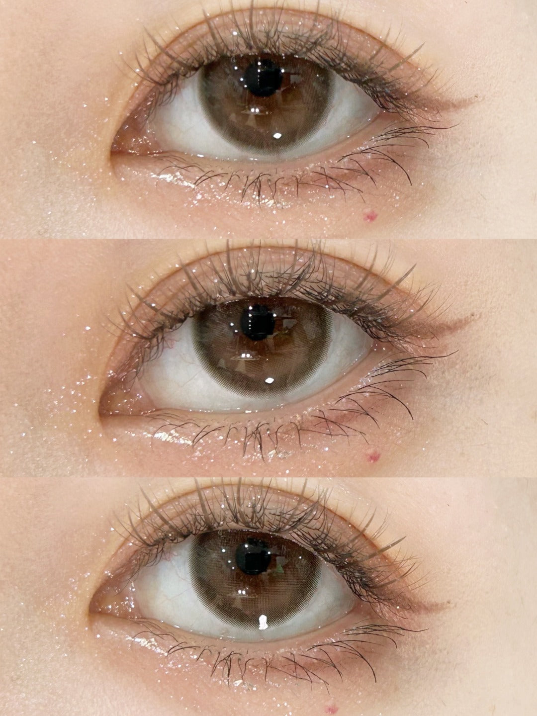 HALF-YEAR | FLOWER | Cloud Ash Gray
