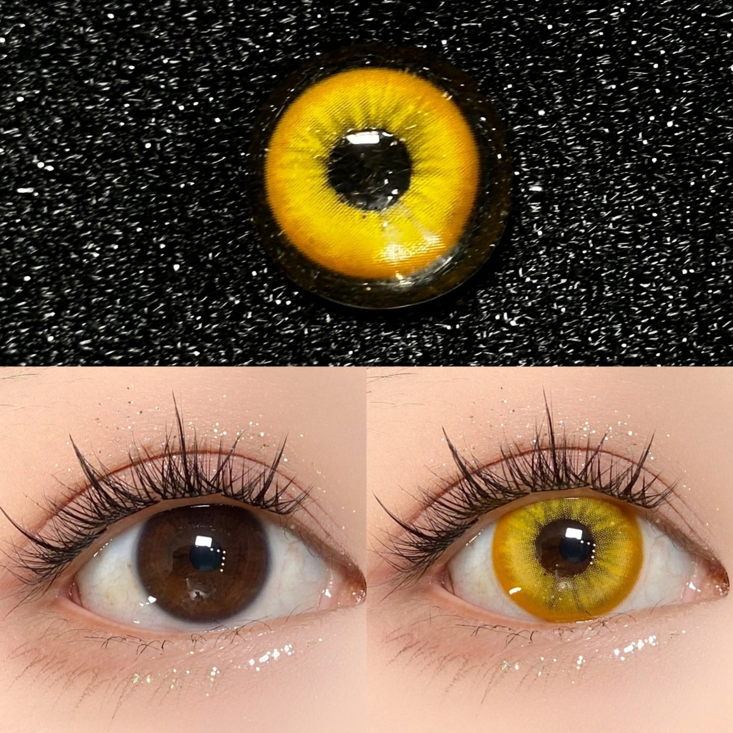 1-DAY | SHINING | Genky Yellow