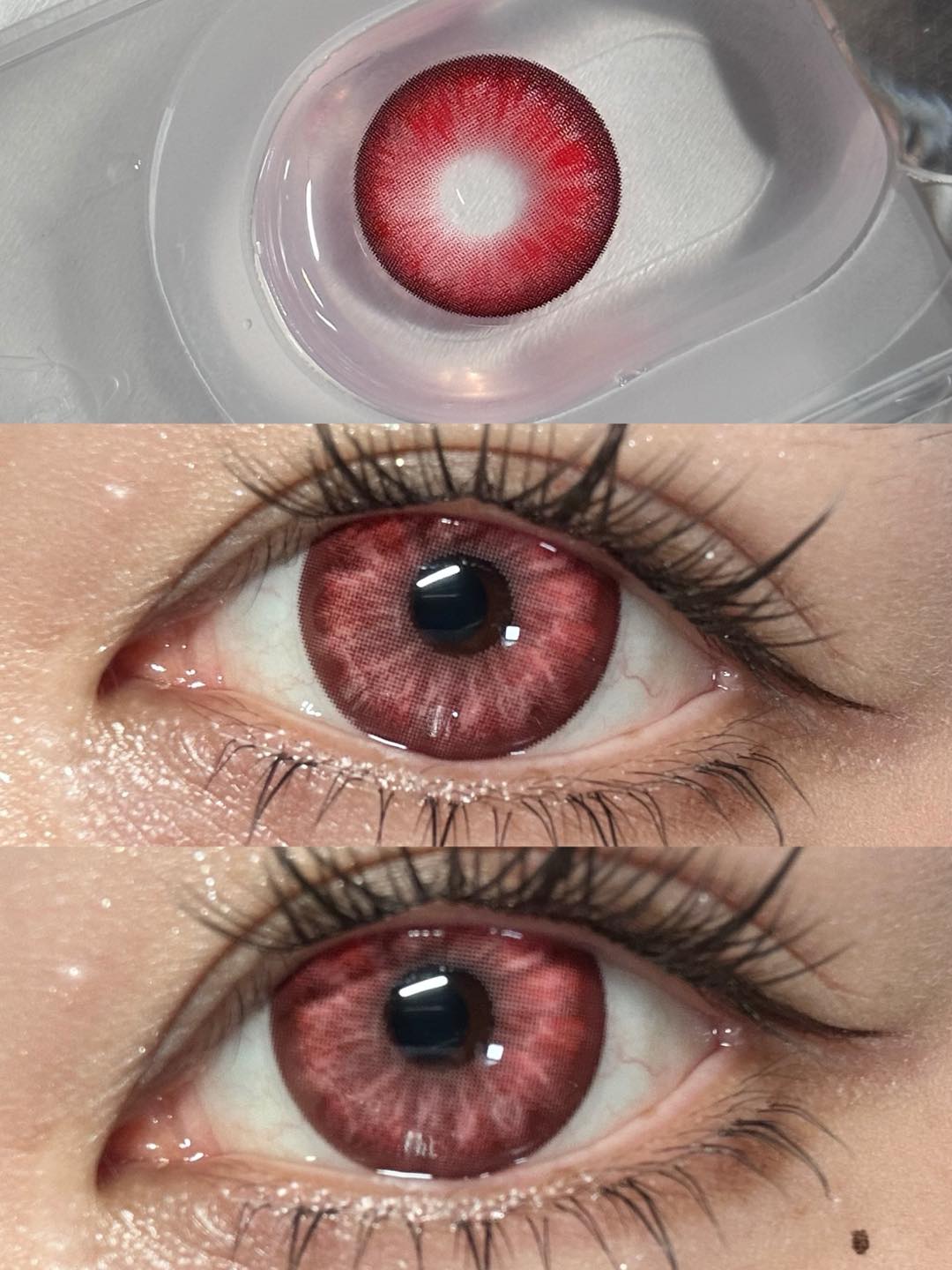 1-DAY | APRI | Magnetic Red