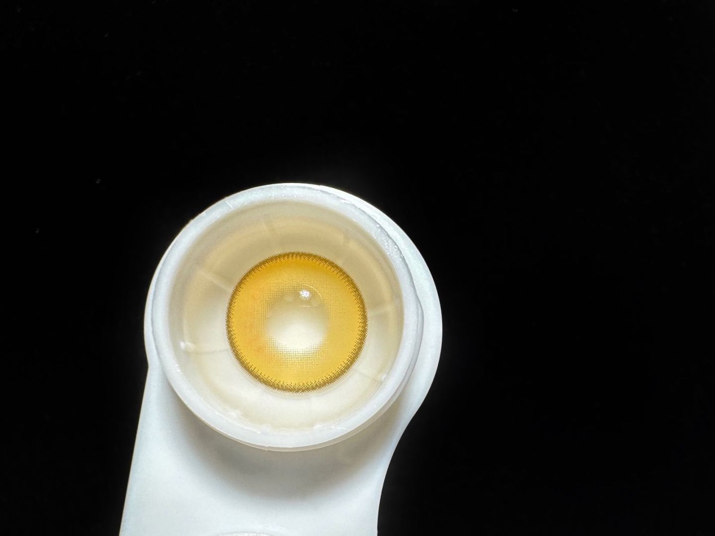 1-DAY | DOYA | Flash Yellow
