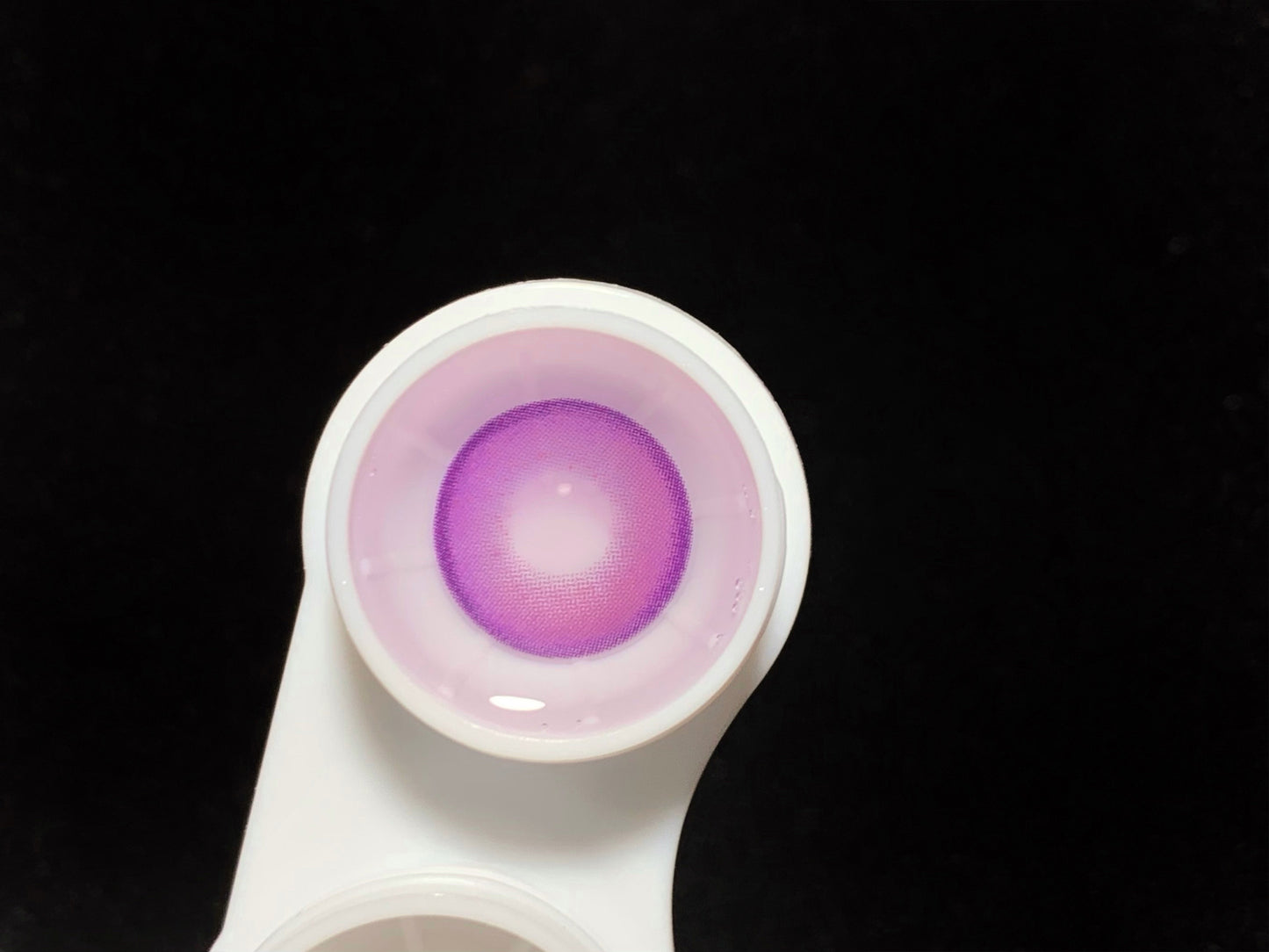 1-DAY | DOYA | Magical Power Purple