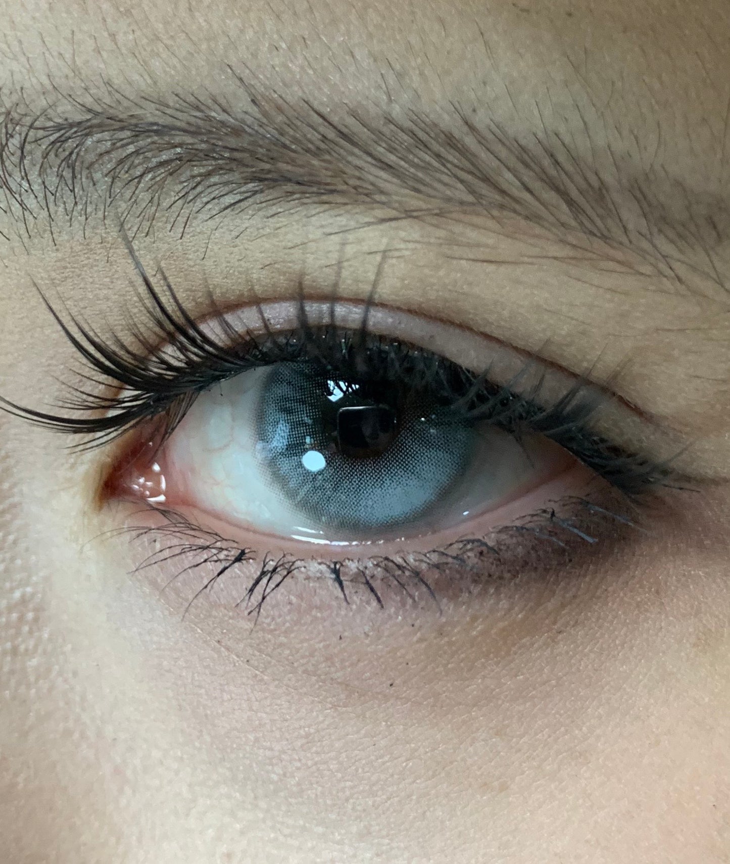 HALF-YEAR | ISORA |  Aloof Kitten Blue