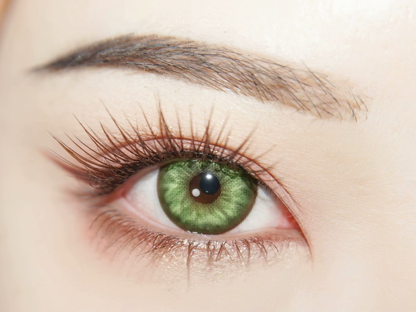 1-DAY | APRI | Magnetic Green