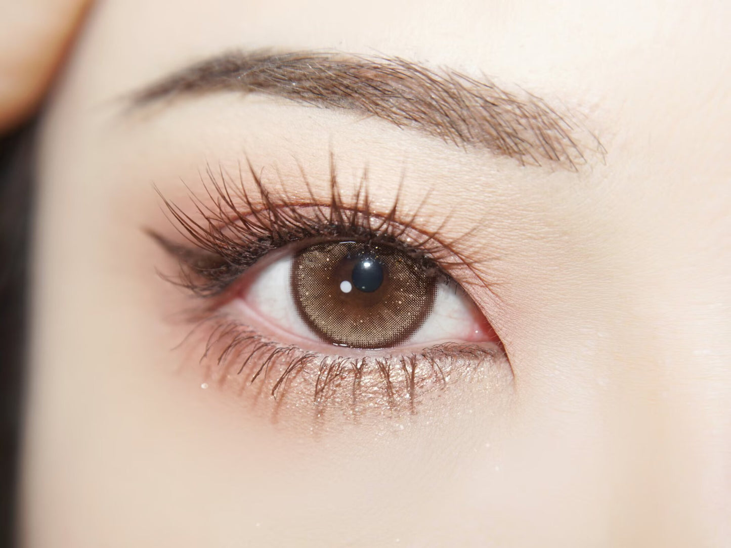 1-DAY | YUKI | Twinkle Brown