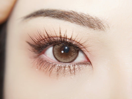 1-DAY | YUKI | Twinkle Brown