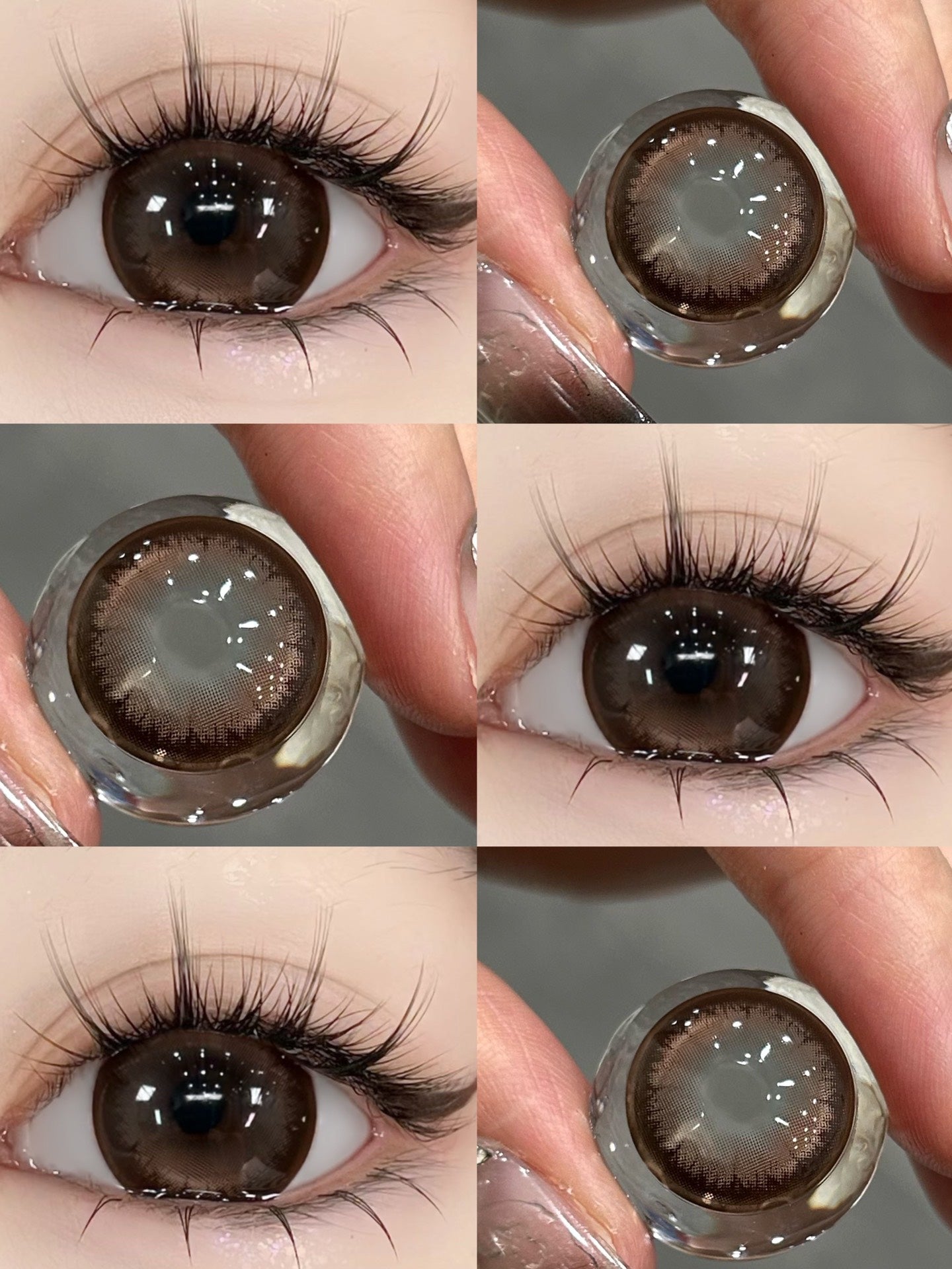 1-DAY | JELLY | Glutinous Rice Brown