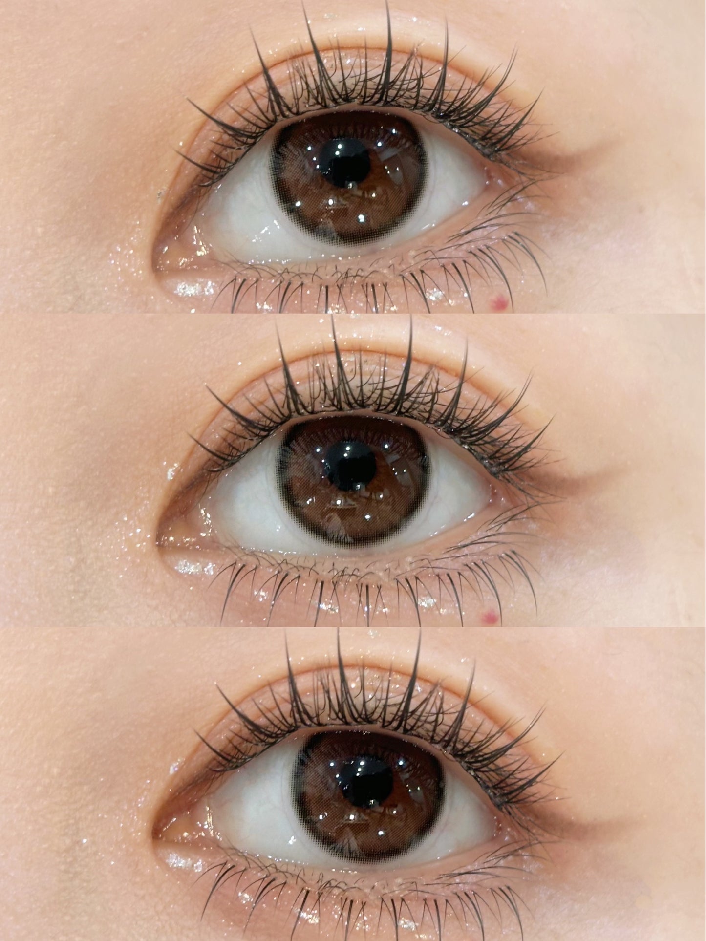 1-DAY | FLOWER | Melt Dark Coco