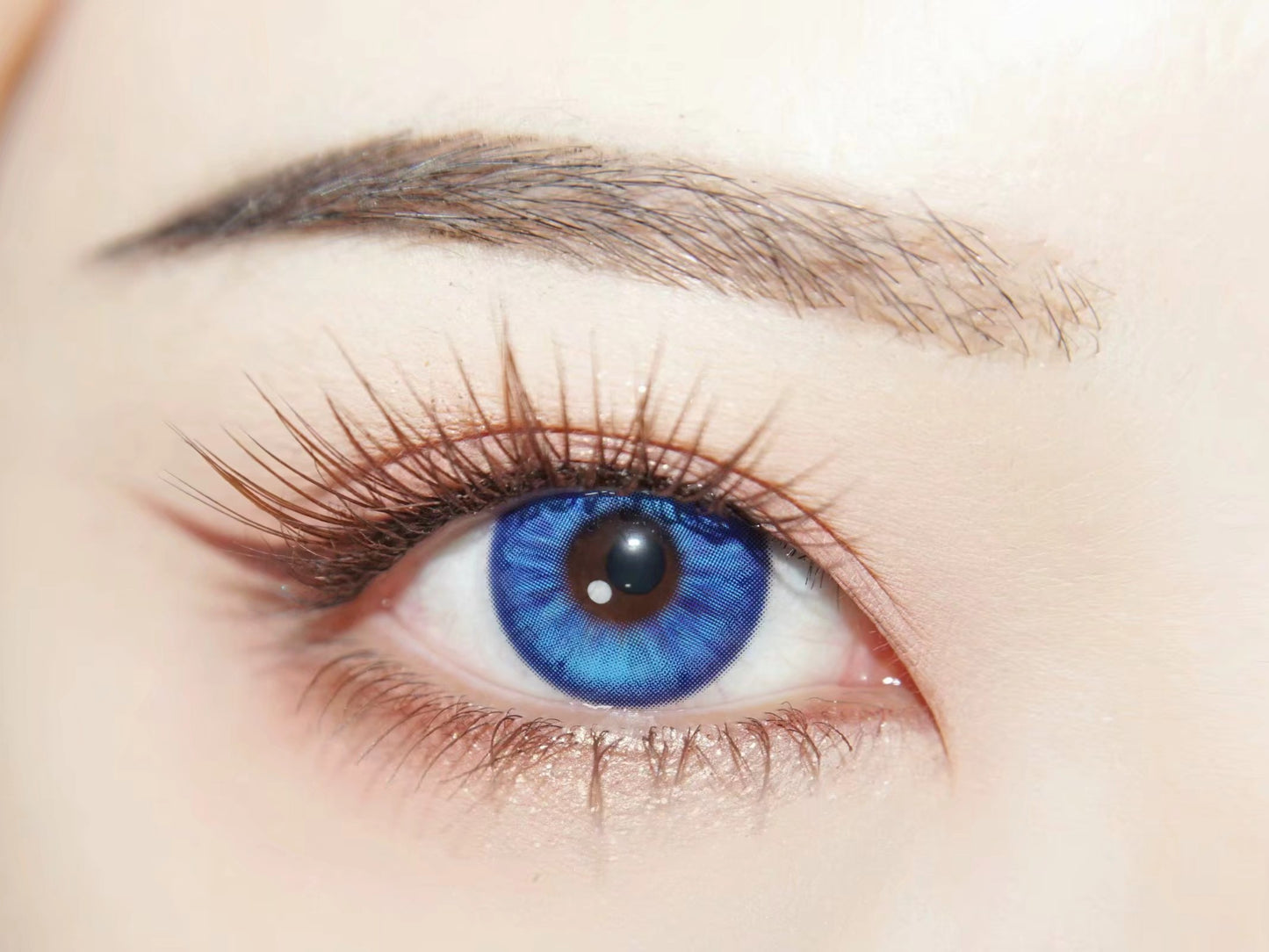 1-DAY | APRI | Klein Blue