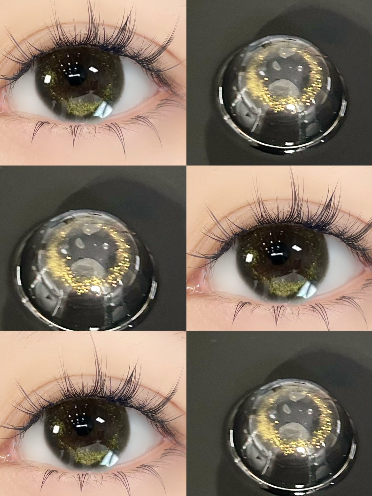 1-DAY | JELLY | Gilded Gold-Gray