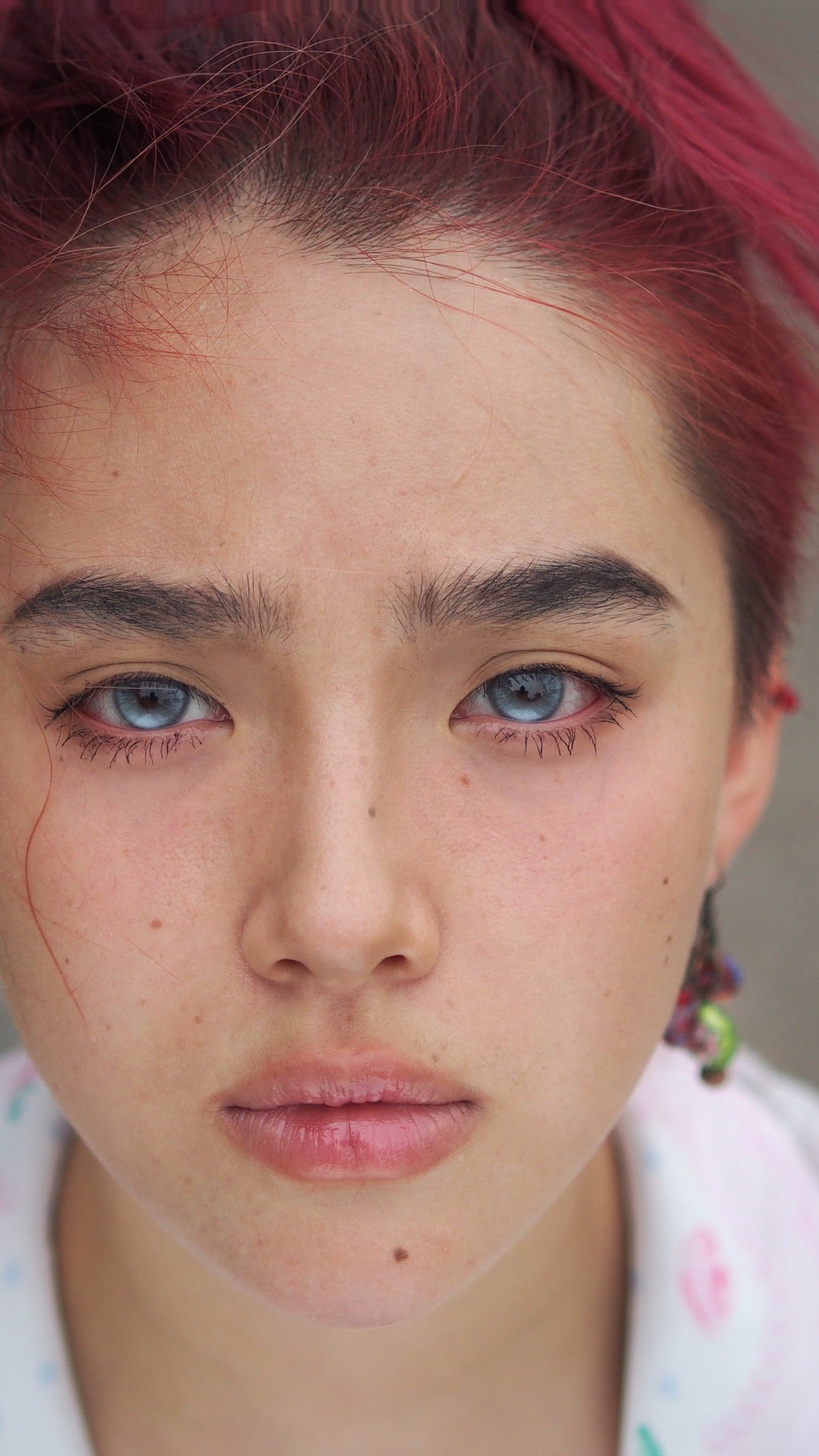 HALF-YEAR | ISORA |  Aloof Kitten Blue