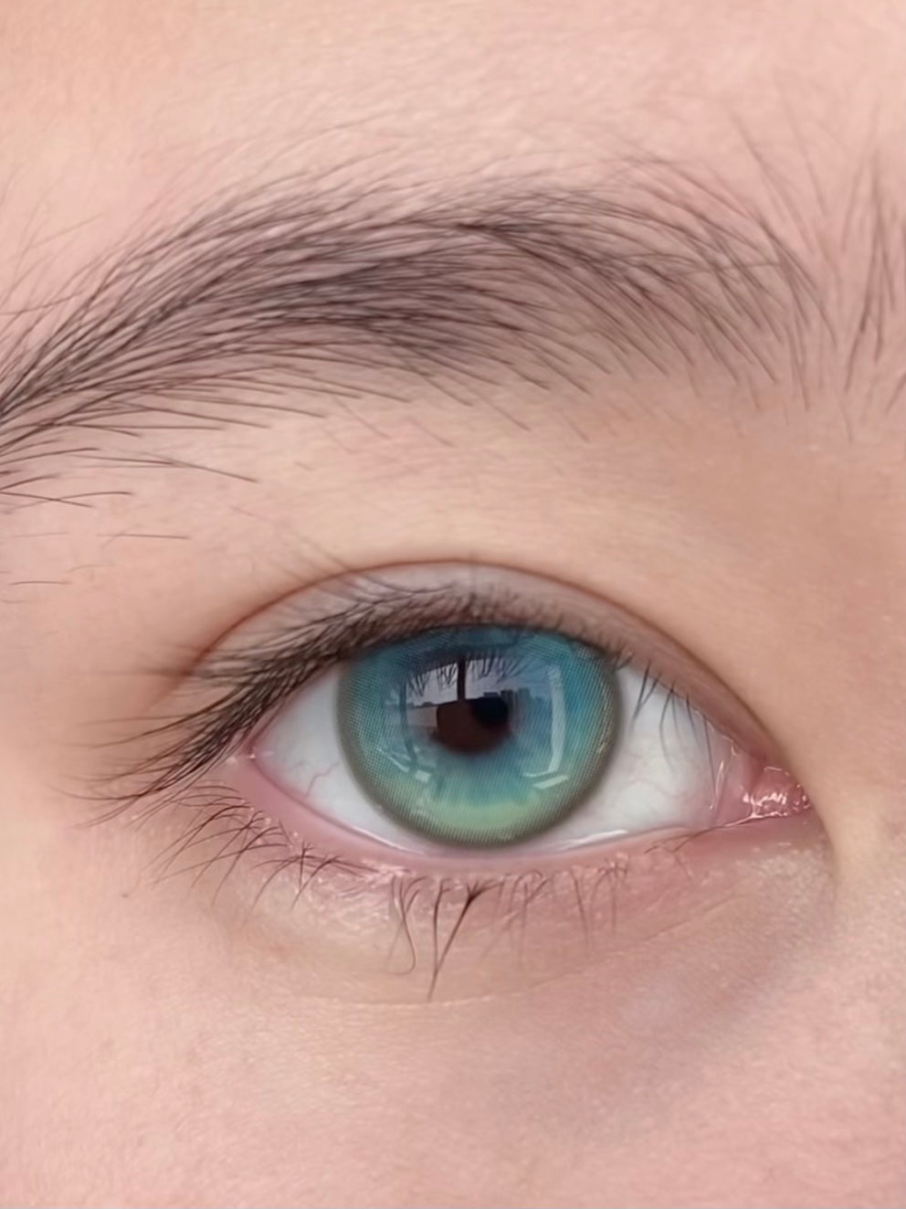 HALF-YEAR | ISORA | Satin Ruins Blue-Green