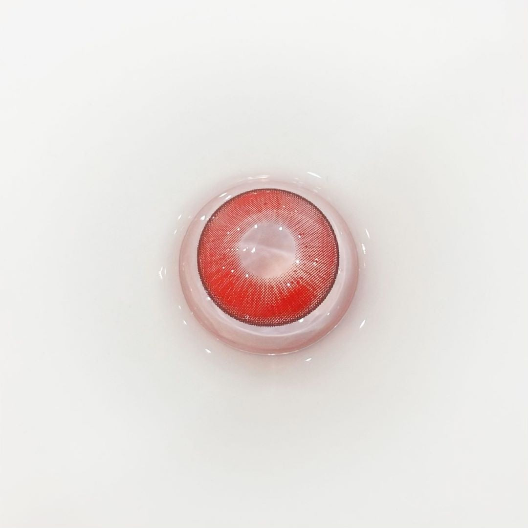 HALF-YEAR | DOYA | Pudding Red