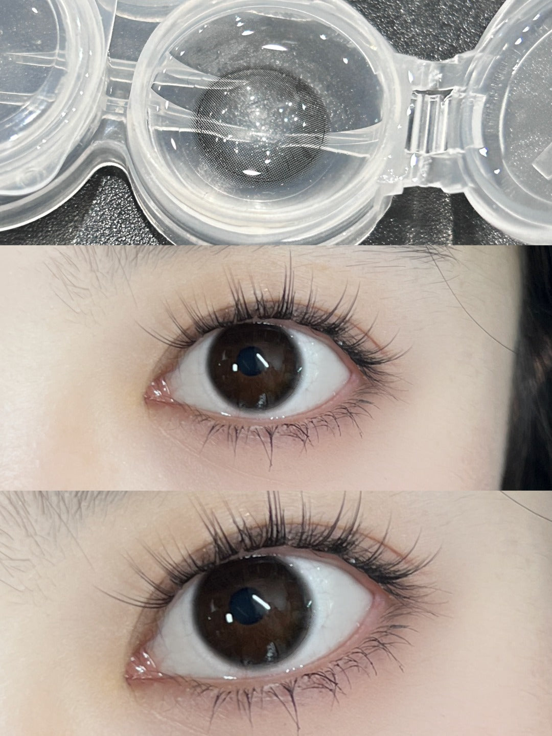 HALF-YEAR | FLOWER | Inborn Gaze Black