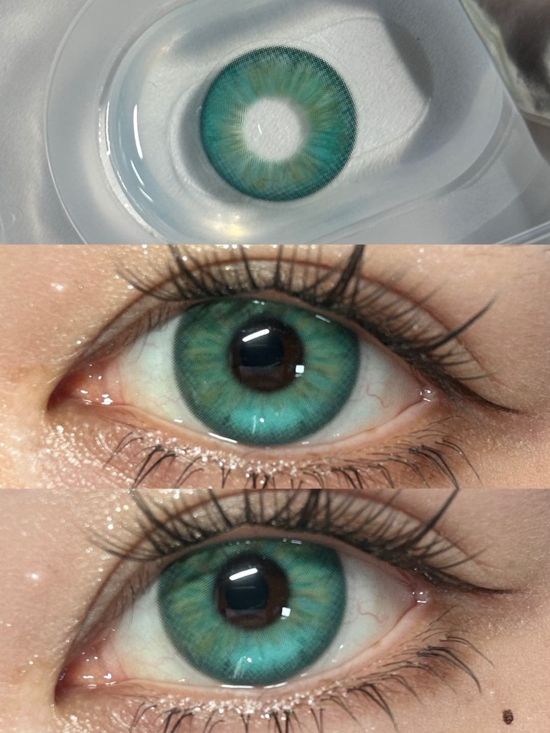 1-DAY | APRI | Klein Green
