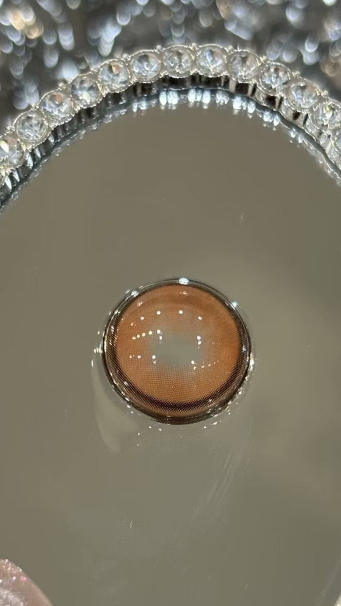 HALF-YEAR | PROPCON | Warm Spring Day Brown