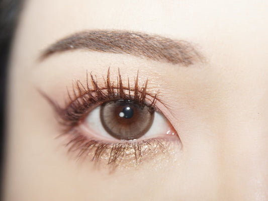 1-DAY | FLOWER | Icelandic Brown