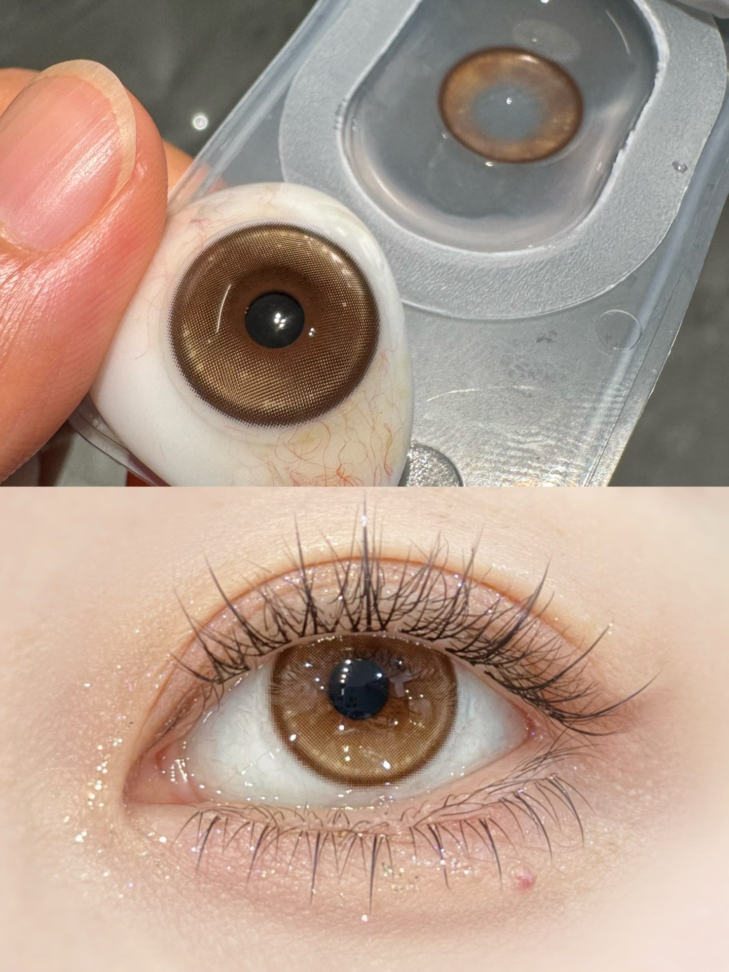 HALF-YEAR | FLOWER | Honey Orange Brown