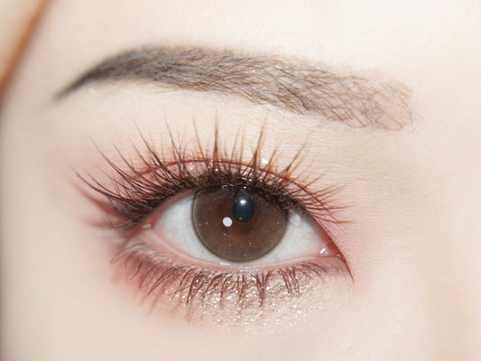 1-DAY | FLOWER | Aura Tone Brown