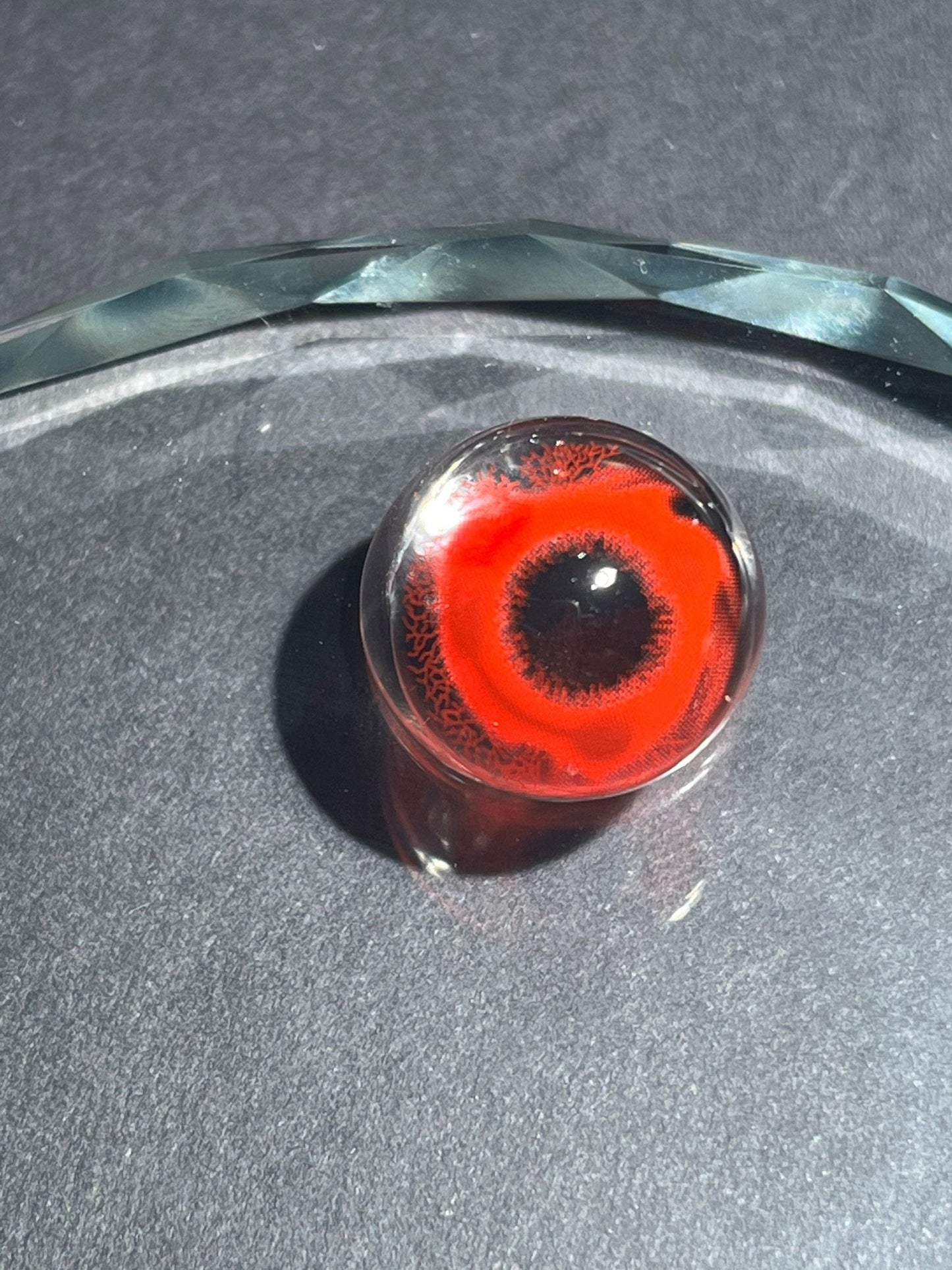 1-YEAR | CM | Pinkeye