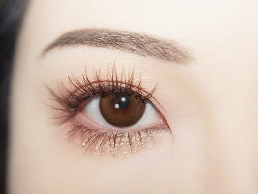 HALF-YEAR | LYMY | Q Soft Candy Brown