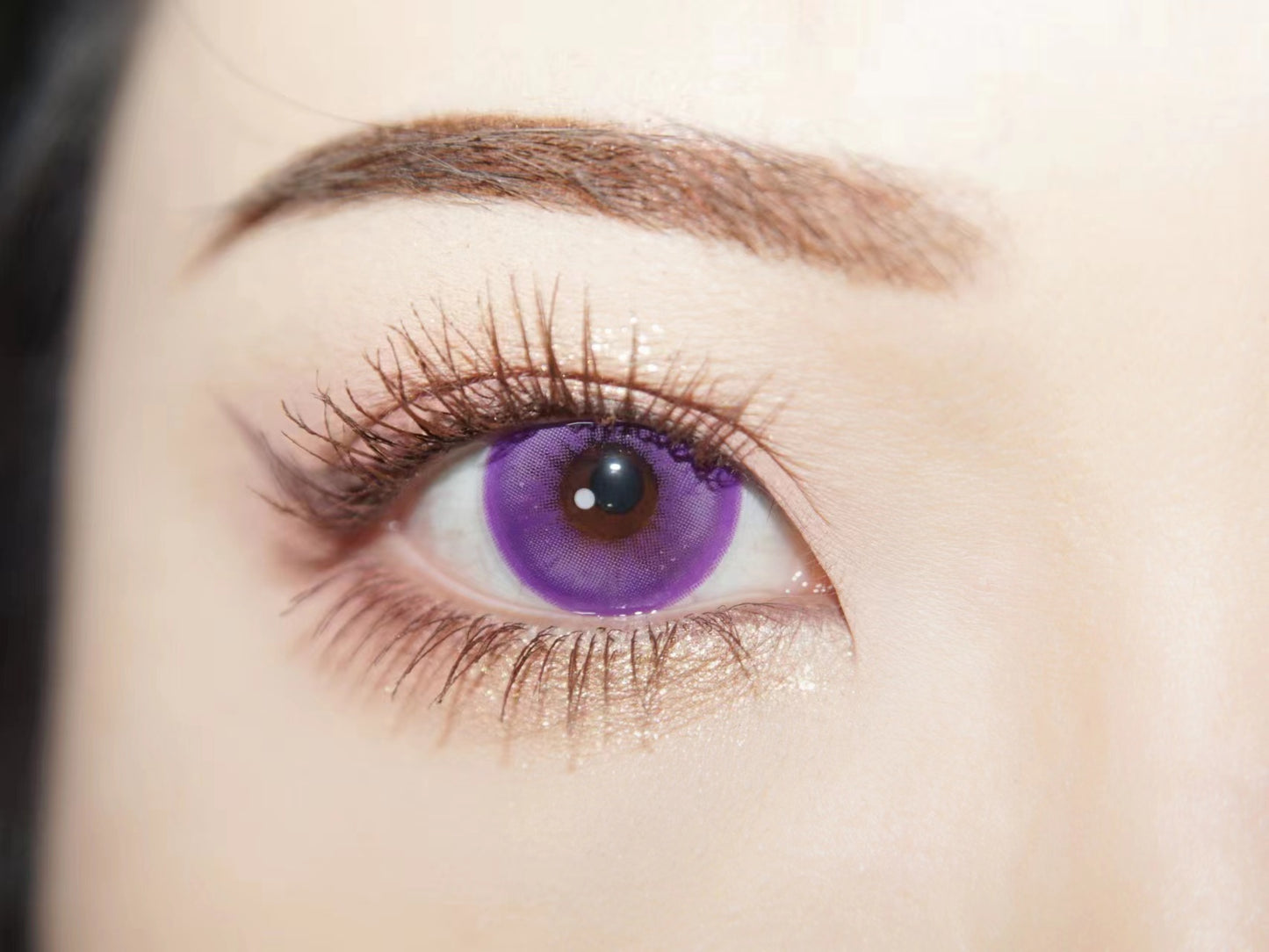 1-DAY | SHINING  | Genky  Purple
