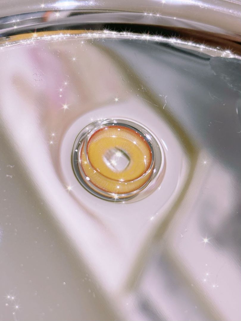 HALF-YEAR | DOYA | Pudding Gold