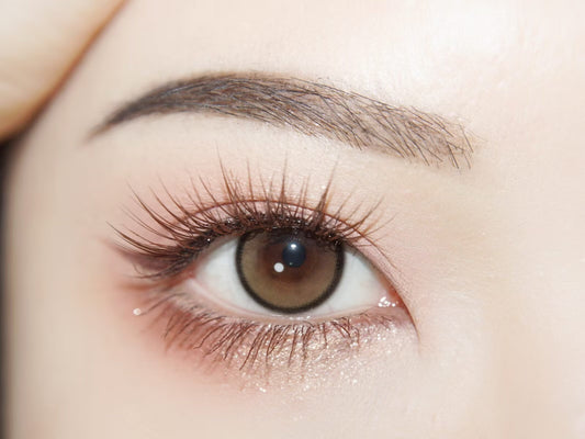 1-DAY | YUKI | First Love (Brown)