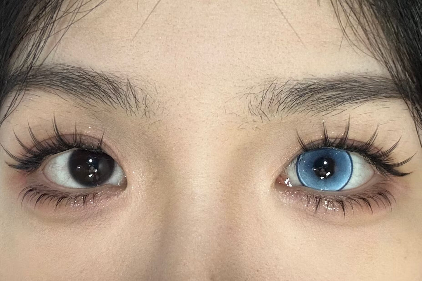 1-DAY | YUKI | Elf Blue