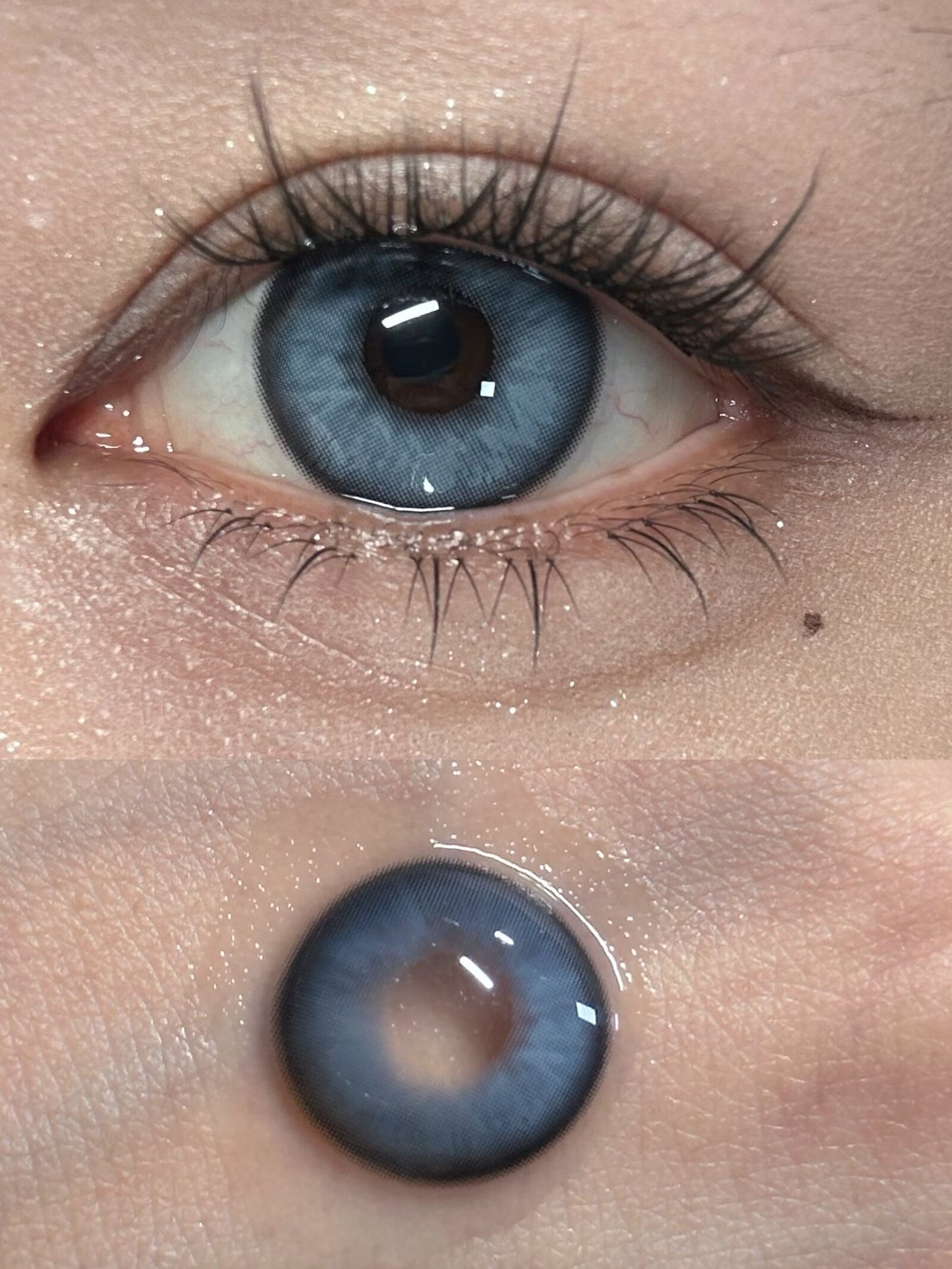 1-DAY | YUKI | Doll Blue