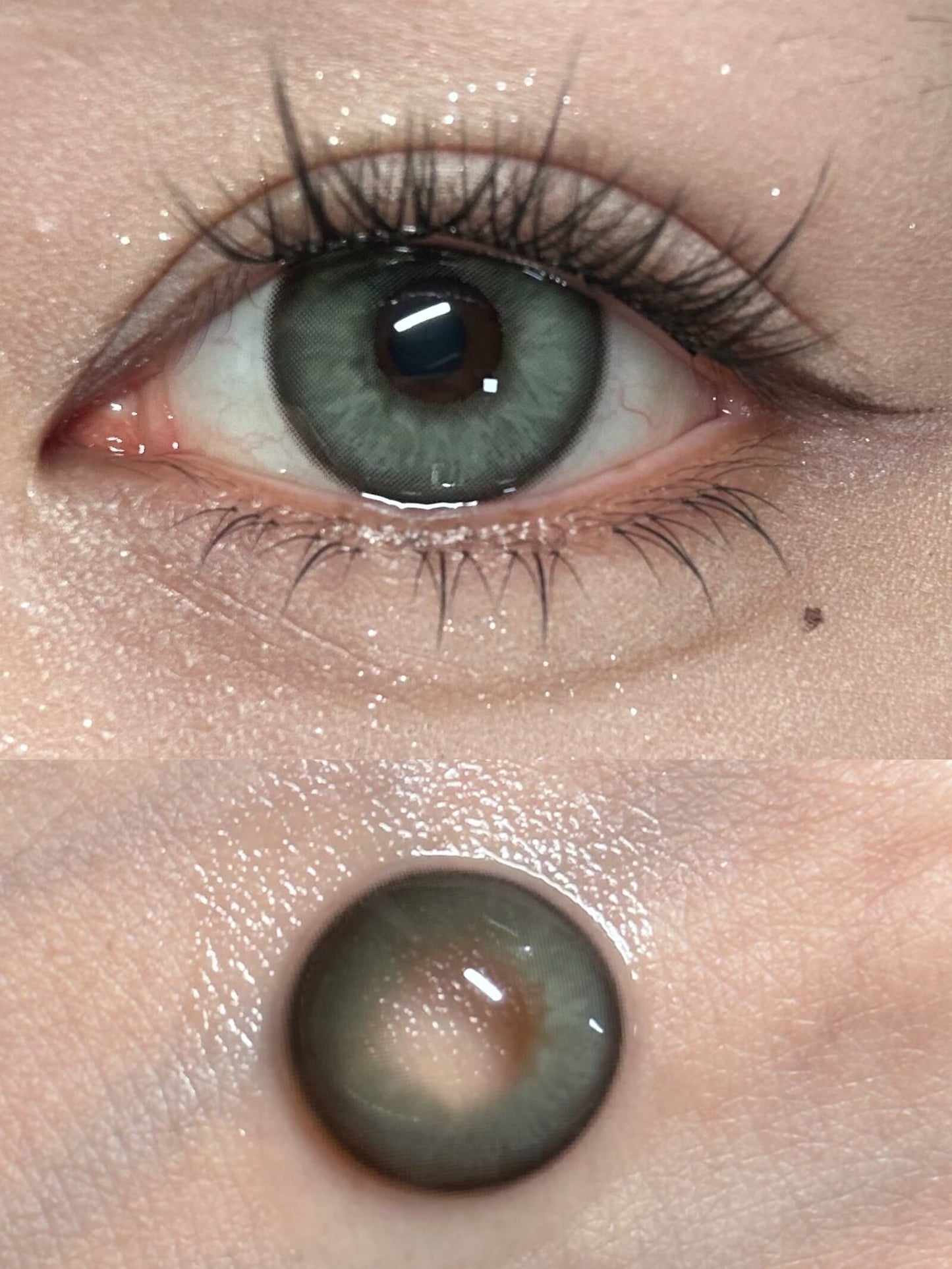 1-DAY | YUKI | Doll Green