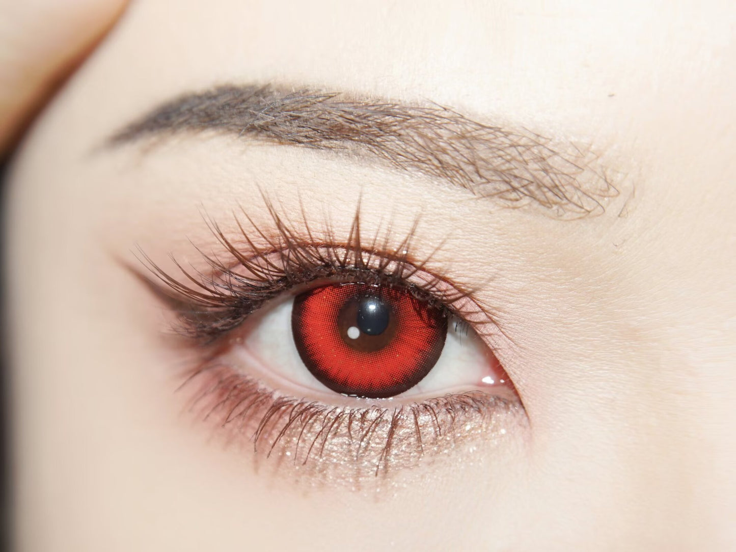 1-DAY | YUKI | Mystic Red