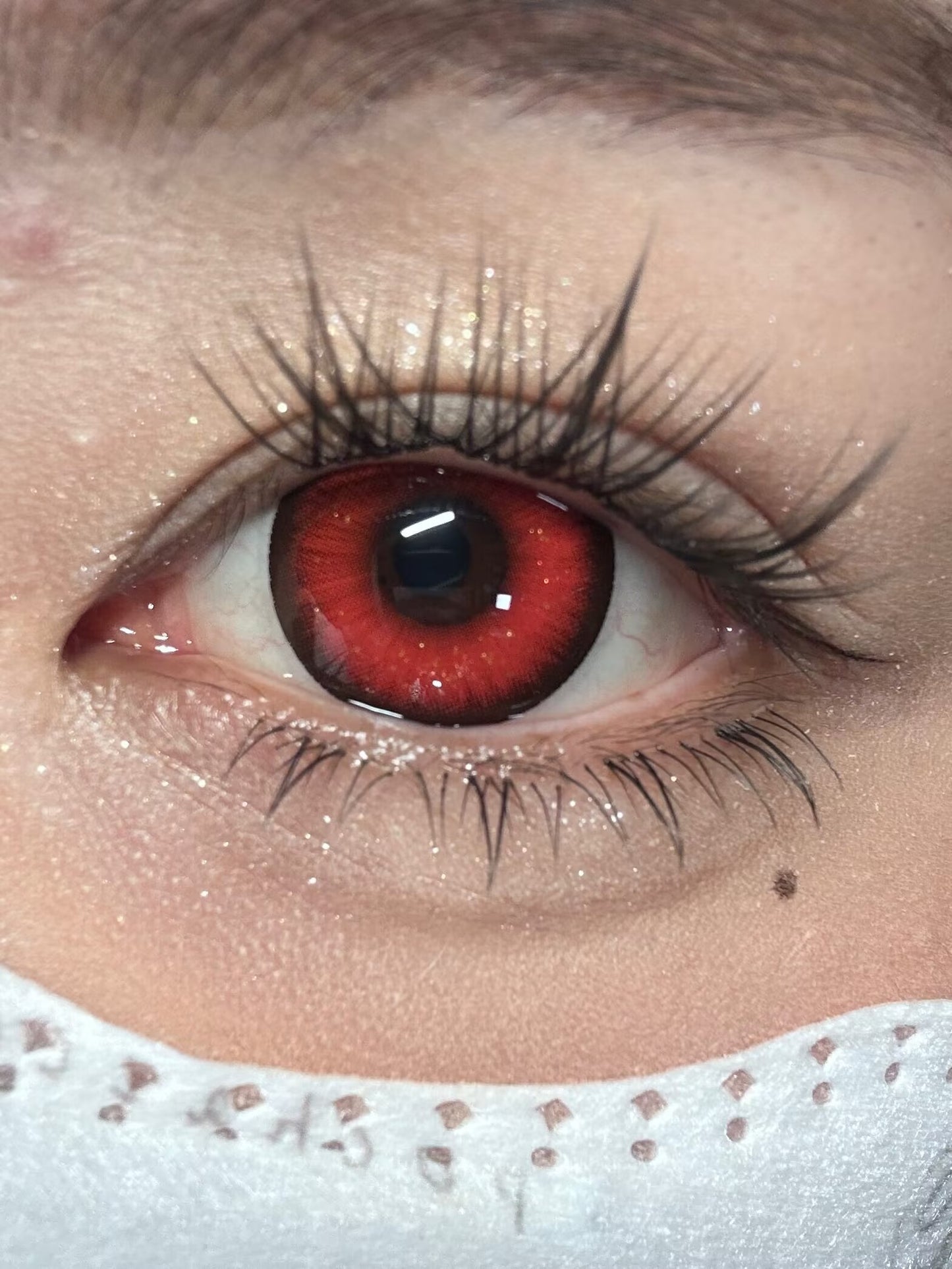 1-DAY | YUKI | Mystic Red