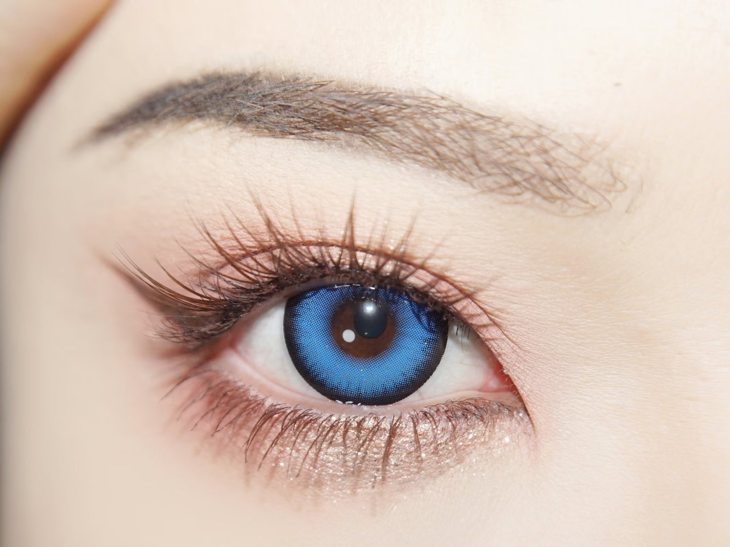 1-DAY | YUKI | Mystic Blue