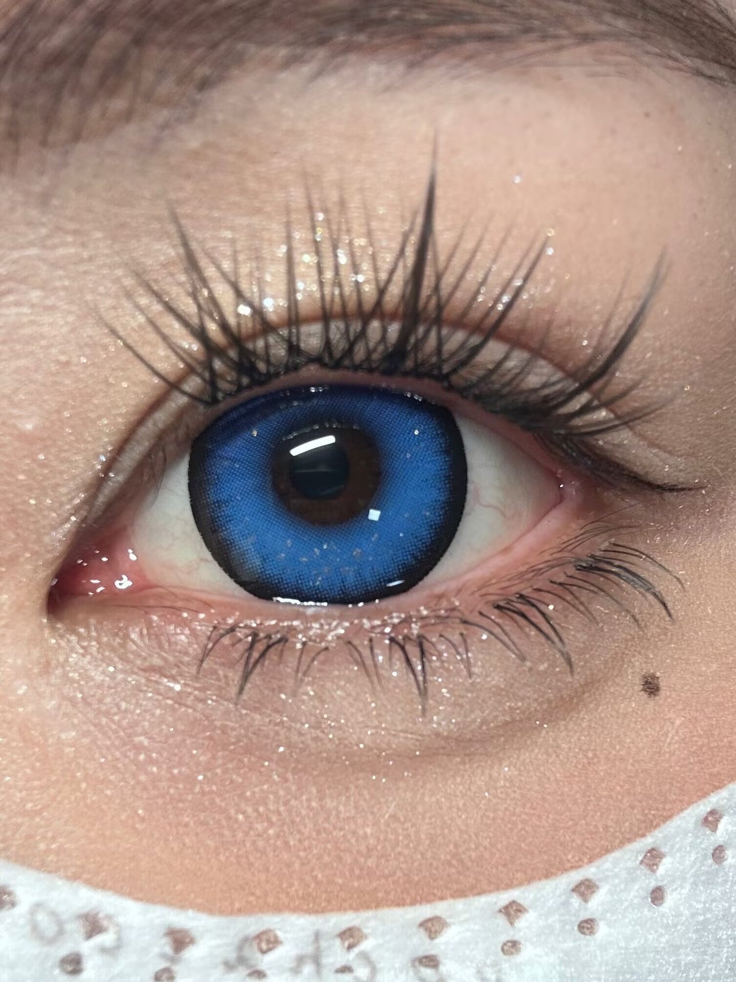 1-DAY | YUKI | Mystic Blue