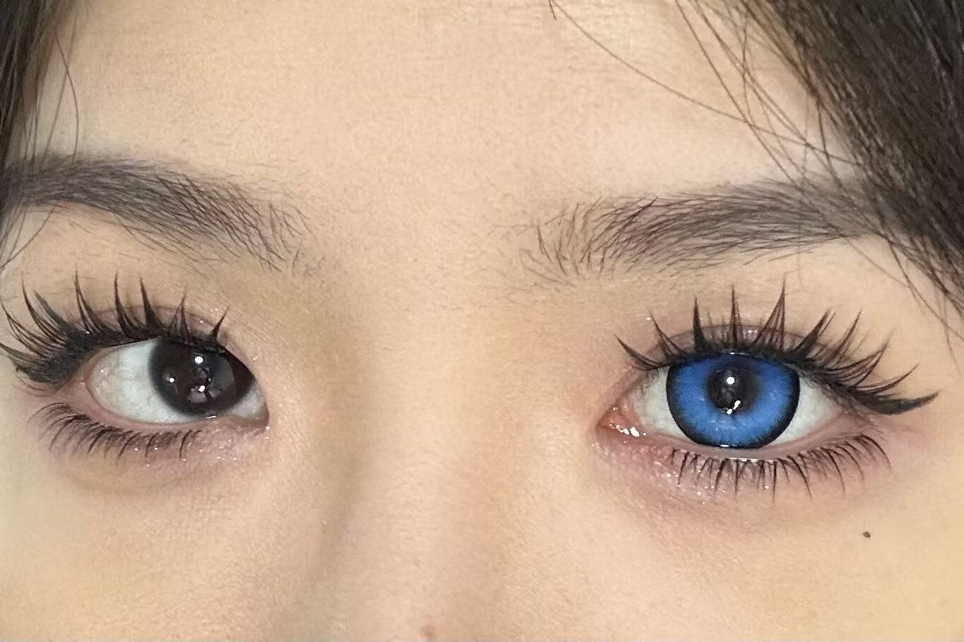 1-DAY | YUKI | Mystic Blue