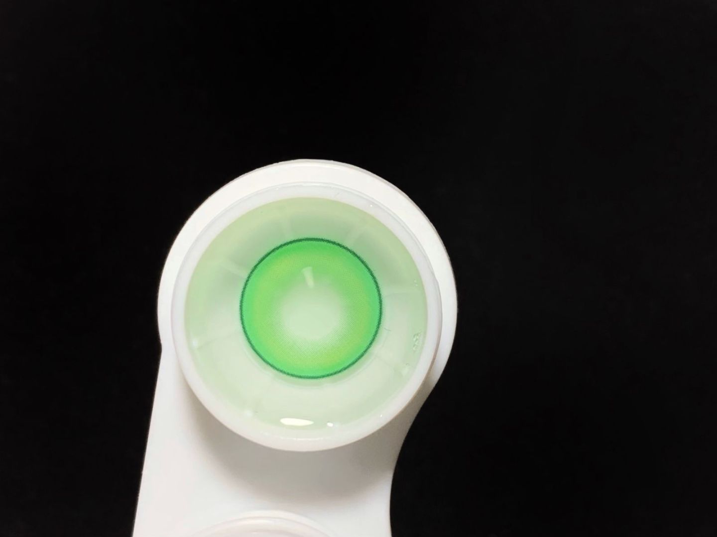 HALF-YEAR | DOYA | Harajuku Green